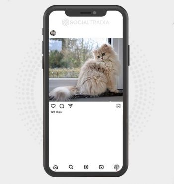 buy Instagram account Kitten Style (6.6 k Followers)