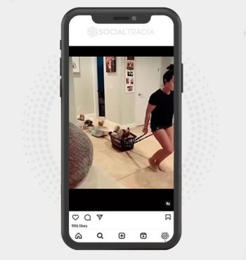 buy Instagram account Cats Pulse (27.9 k Followers)