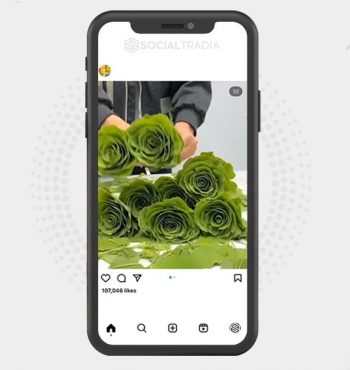 buy instagram account