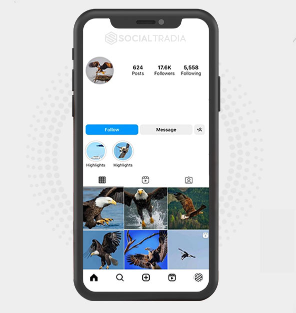 buy Instagram account Eagle Fly (17.6 k Followers)