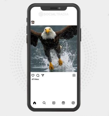 buy Instagram account Eagle Fly (17.6 k Followers)