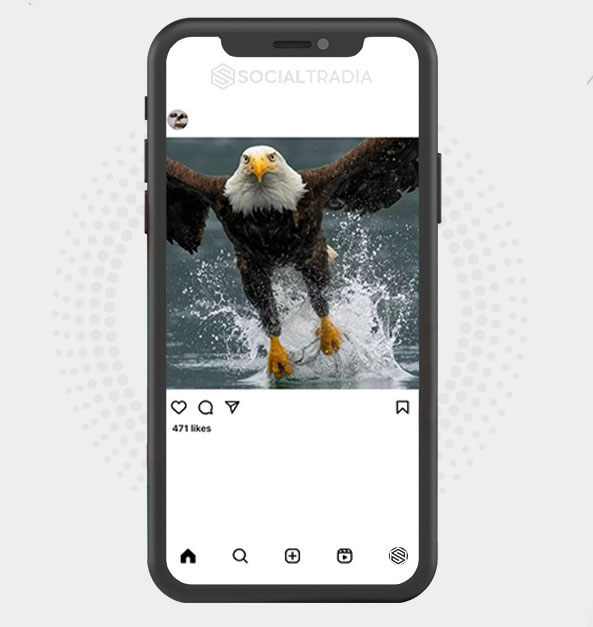 buy Instagram account Eagle Fly (17.6 k Followers)