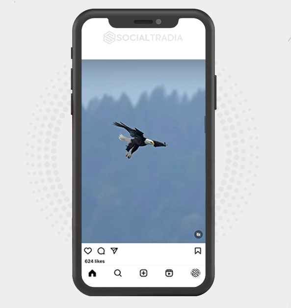 buy Instagram account Eagle Fly (17.6 k Followers)