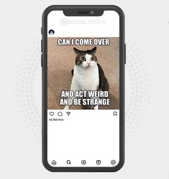 buy Instagram account Kitty Site (54,2 k Followers)