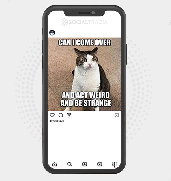 buy Instagram account Kitty Site (54,2 k Followers) buy Instagram account Kitty Site (54,2 k Followers)