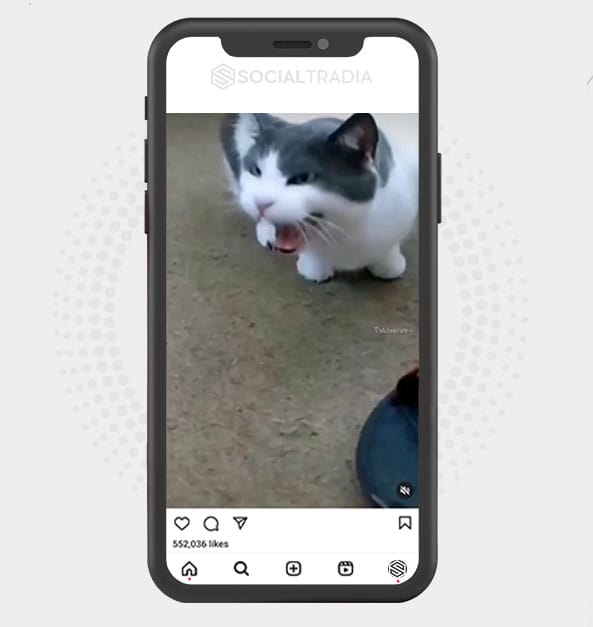 buy Instagram account Kitty Site (54,2 k Followers) buy Instagram account Kitty Site (54,2 k Followers)