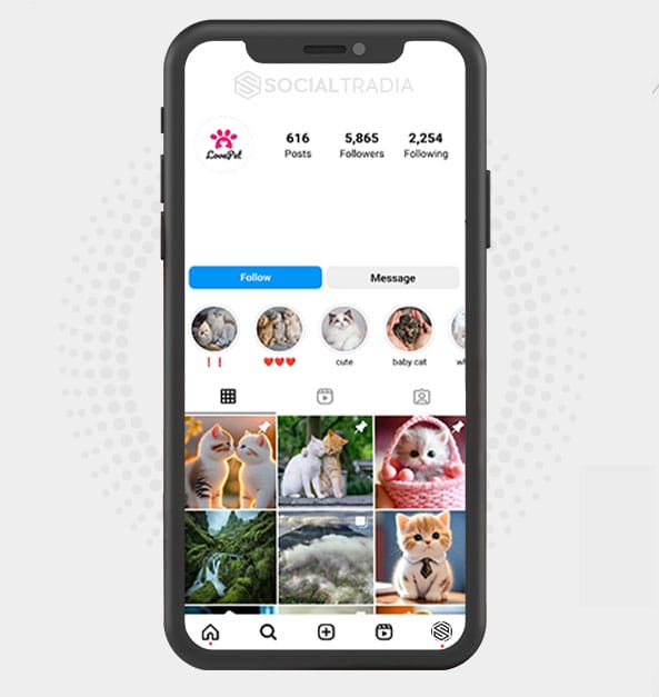 buy Instagram account Pet Cute (5.8 k Followers) buy Instagram account Pet Cute (5.8 k Followers)