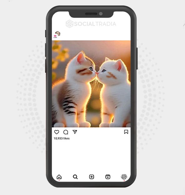 buy Instagram account Pet Cute (5.8 k Followers) buy Instagram account Pet Cute (5.8 k Followers)