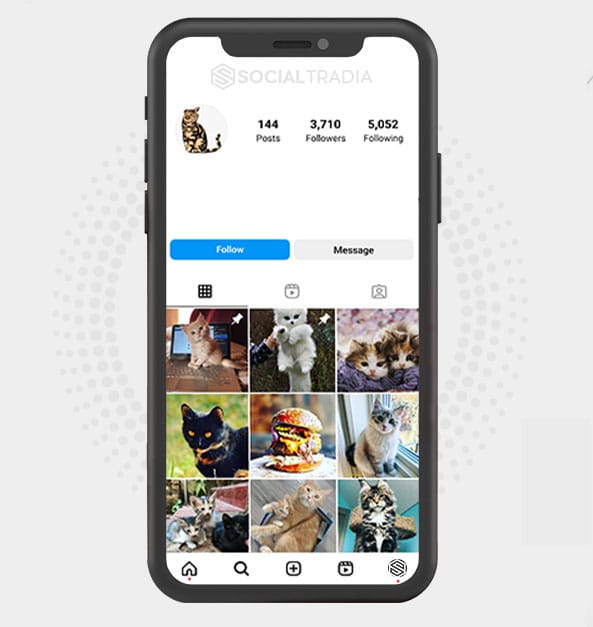 buy Instagram account Kitty Cutie (3.7 k Followers)