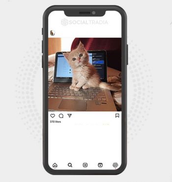 buy Instagram account Kitty Cutie (3.7 k Followers)
