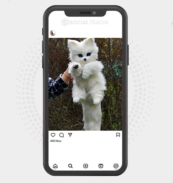 buy Instagram account Kitty Cutie (3.7 k Followers)