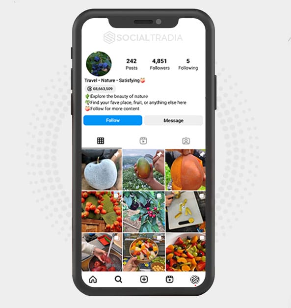 buy Instagram account Travvying (4.8 k Followers)