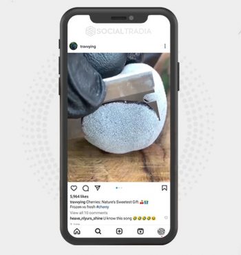 buy Instagram account Travvying (4.8 k Followers)