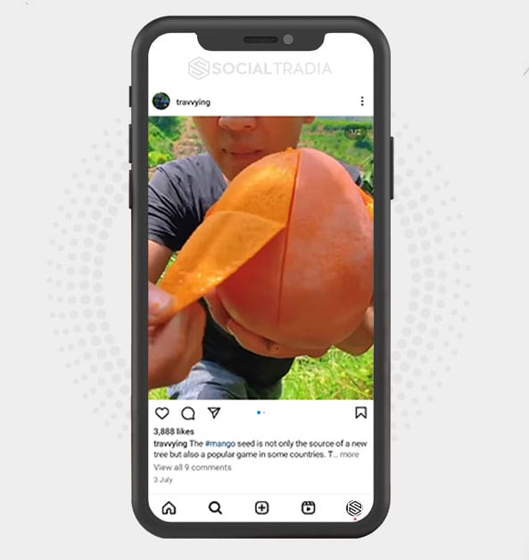 buy Instagram account Travvying (4.8 k Followers)