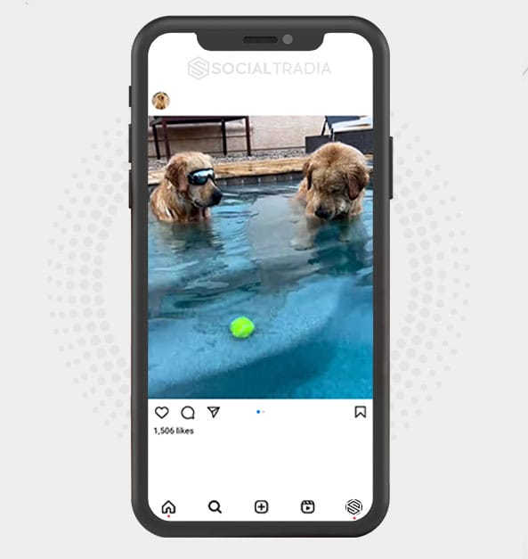 buy Instagram account Retrievers Spot (46.7 k Followers)
