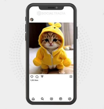 buy Instagram account Kitty Fond (24.3 k Followers)