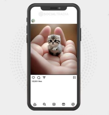 buy Instagram account Kitty Mall (37.2 k Followers)