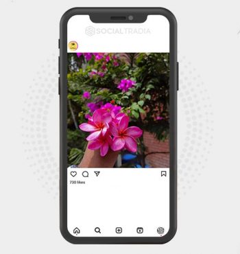 buy Instagram account Photo Land (2.4 k Followers)