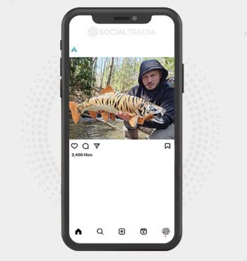 buy Instagram account Fishing Pulse (5.3 k Followers)