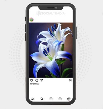 buy Instagram account Nature Last (26 k Followers)