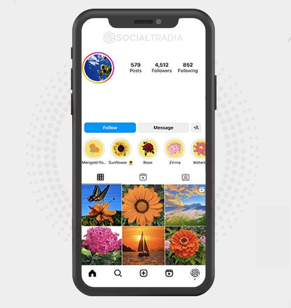 buy Instagram account NatureVibe (4.5 k Followers) buy Instagram account NatureVibe (4.5 k Followers)