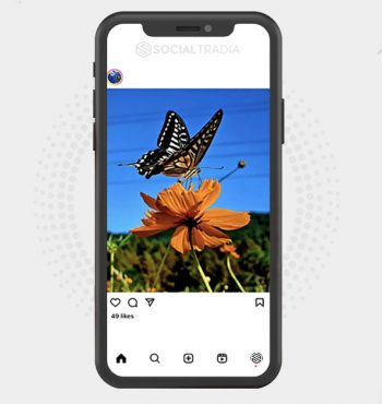 buy Instagram account NatureVibe (4.5 k Followers)