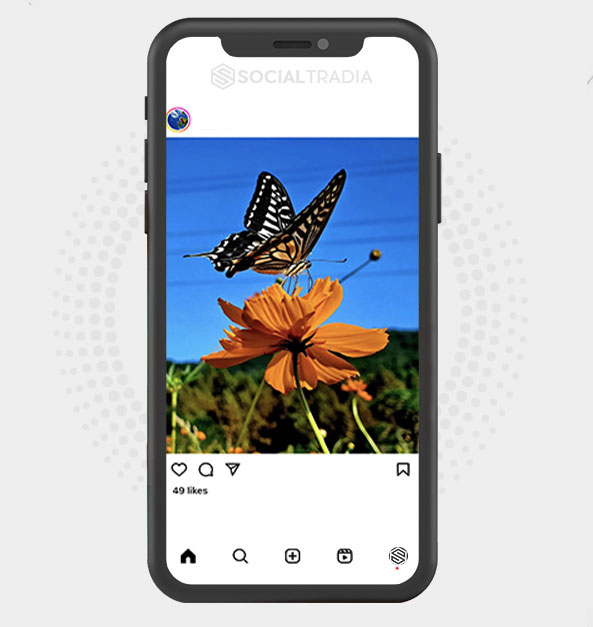 buy Instagram account NatureVibe (4.5 k Followers) buy Instagram account NatureVibe (4.5 k Followers)