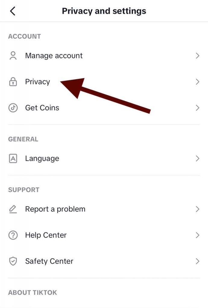Go to TikTok privacy