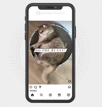 buy Instagram account KittyHome (17.1 k Followers)