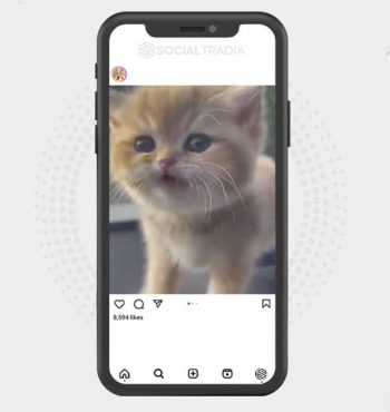 buy Instagram account Kitty Style (19.4 k Followers)