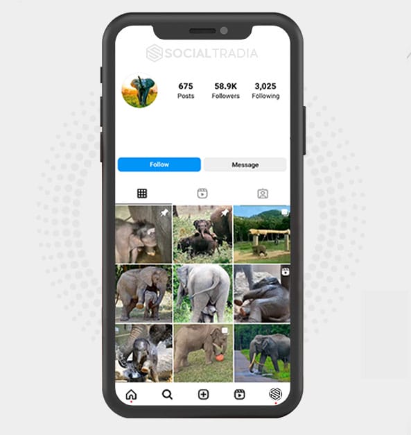 buy Instagram account ElephantsClub (58.9 k Followers) buy Instagram account ElephantsClub (58.9 k Followers)