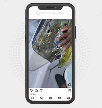 buy Instagram account FishPlus (2.4 k Followers)
