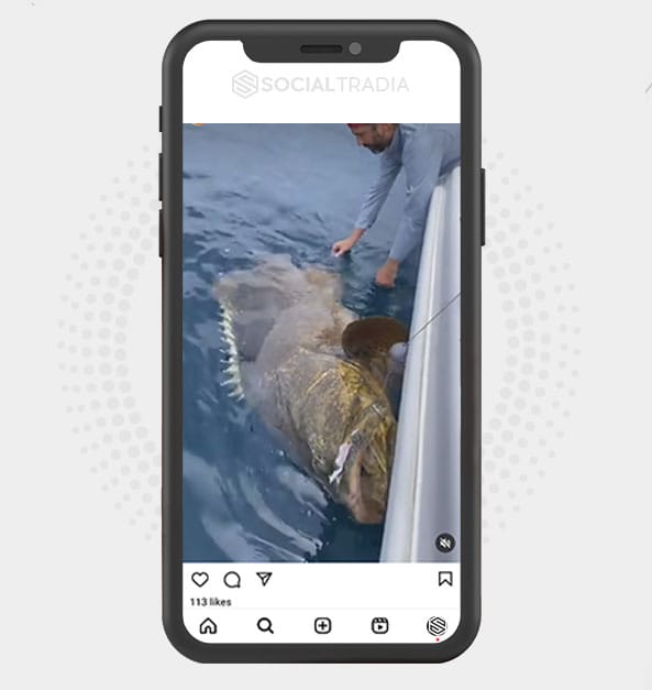 buy Instagram account FishPlus (2.4 k Followers) buy Instagram account FishPlus (2.4 k Followers)