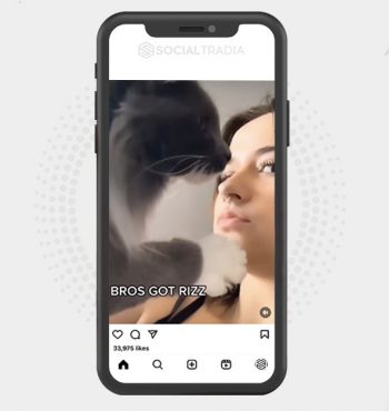 buy Instagram account KittyMall (10 k Followers)