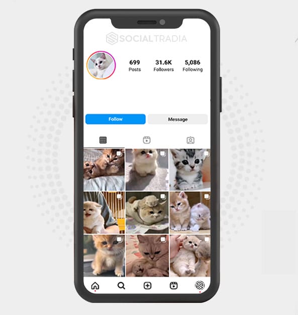 buy Instagram account Catty Page (31.6 k Followers)
