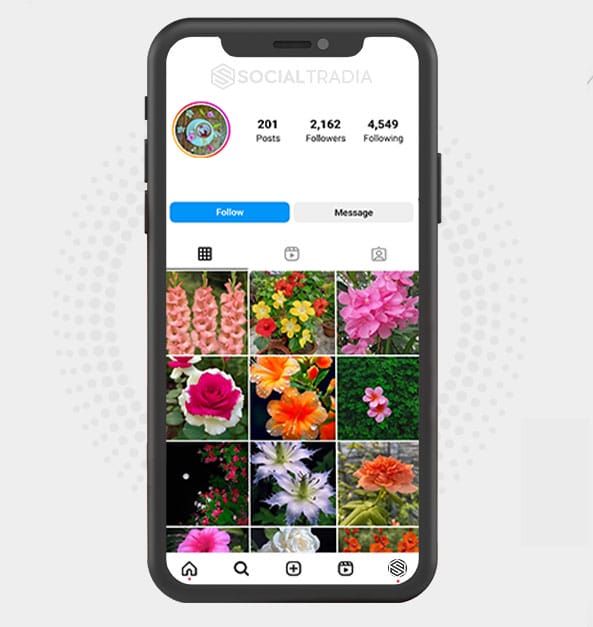 buy Instagram account LovePhoto Nature (2.1 k Followers)