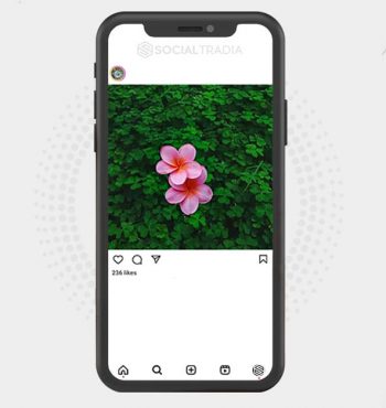 buy Instagram account LovePhoto Nature (2.1 k Followers)