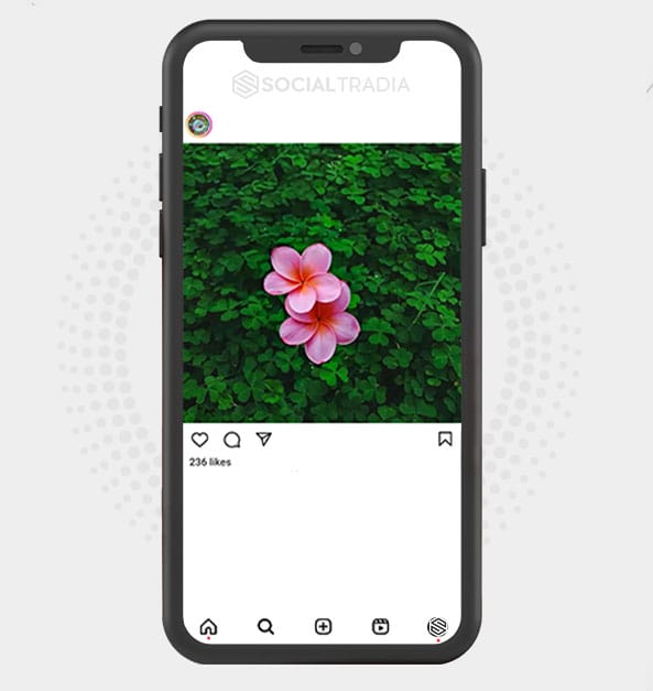 buy Instagram account LovePhoto Nature (2.1 k Followers)