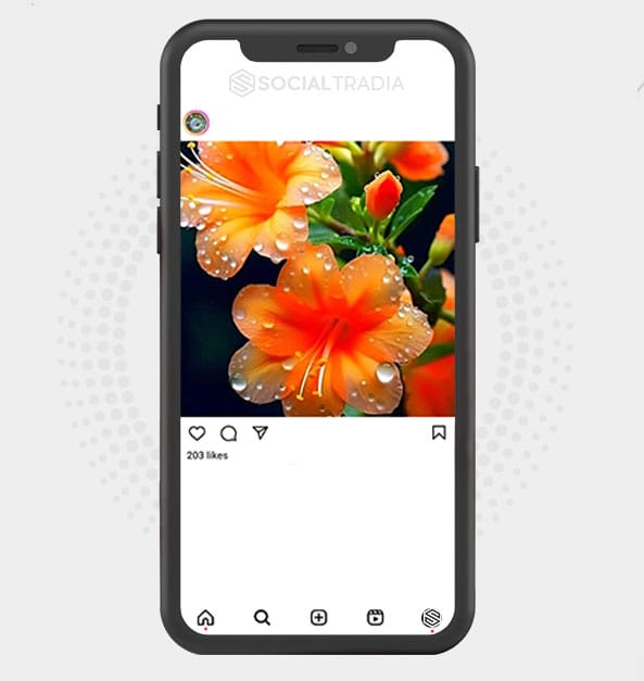 buy Instagram account LovePhoto Nature (2.1 k Followers)
