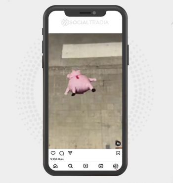 buy Instagram account Pigs Pub (47.7 k Followers)