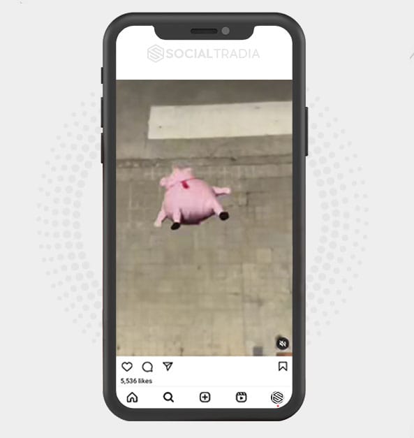 buy Instagram account Pigs Pub (47.7 k Followers)