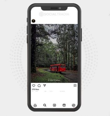 buy Instagram account In WildPhoto (2.3 k Followers)