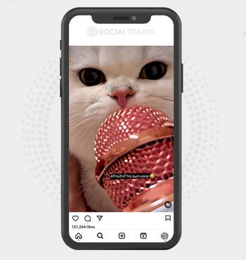 buy Instagram account Pets Club (32.5 k Followers)