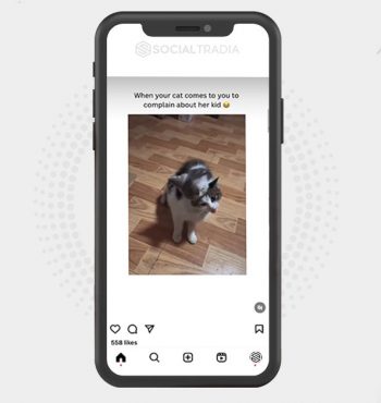 buy Instagram account Kitty Update (45.5 k Followers)