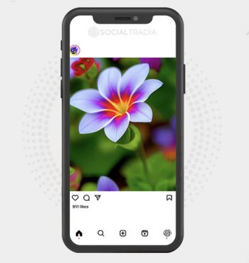 buy Instagram account Flower Gate (2.4 k Followers)