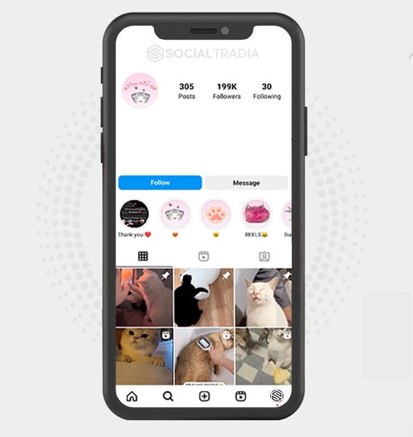 buy Instagram account Kitten Fun (182 k Followers) buy Instagram account Kitten Fun (182 k Followers)