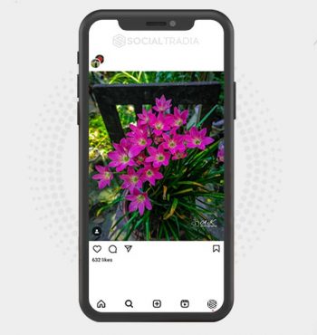buy instagram account