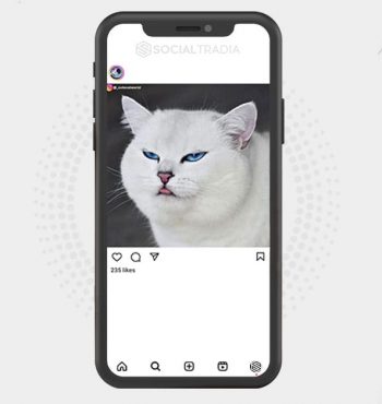 buy instagram account