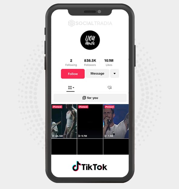 buy Instagram account Music Lasts (825.6 k Followers)