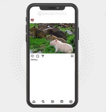 buy instagram account